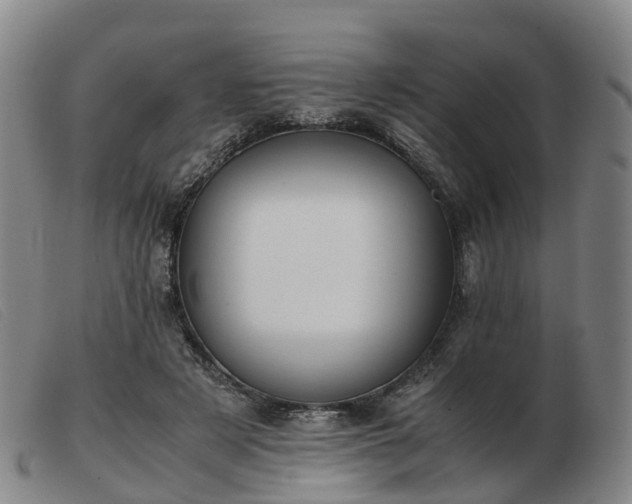 X0000103430497200809191704