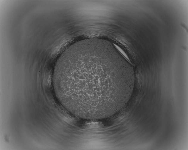 X0000103430499200809191704