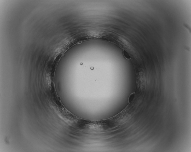 X0000103430500200809191704
