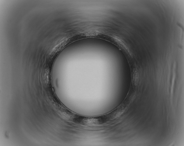X0000103430501200809191704