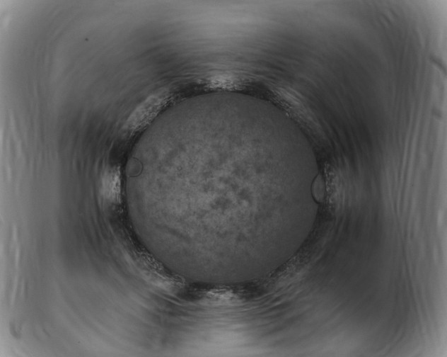 X0000103430502200809191704