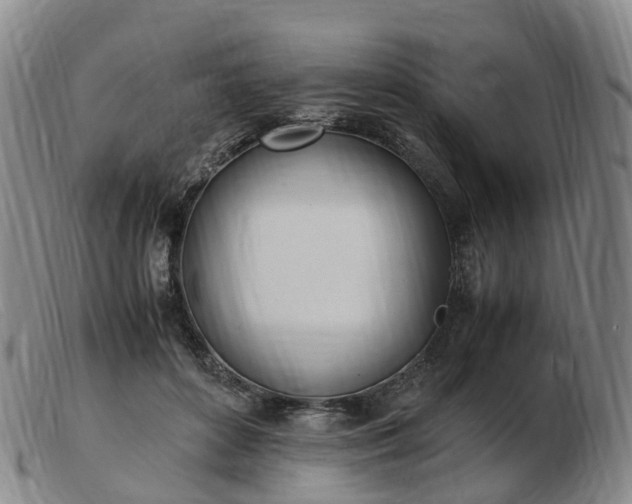X0000103430504200809191704