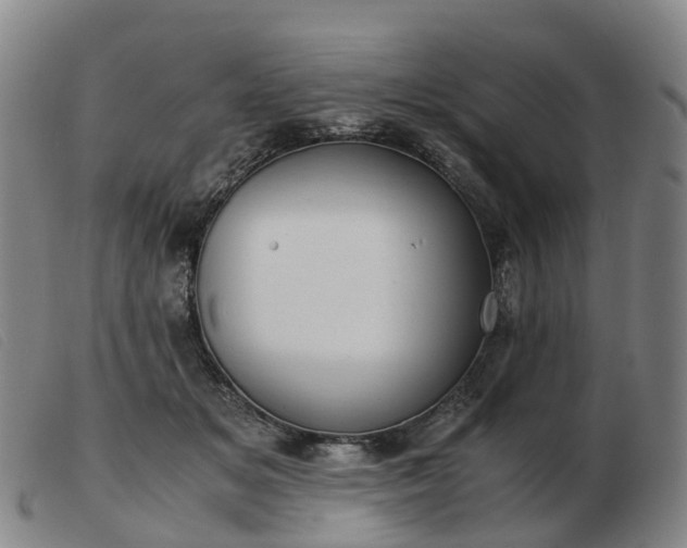 X0000103430509200809191704