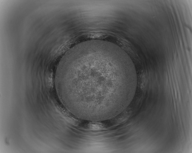 X0000103430510200809191704