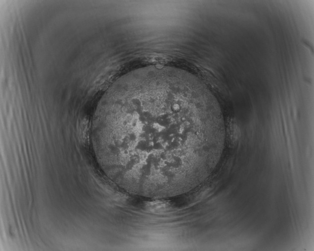 X0000103430511200809191704