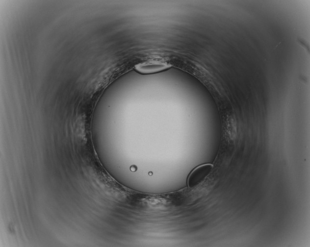 X0000103430512200809191704