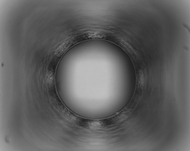 X0000103430513200809191704