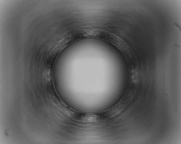 X0000103430514200809191704