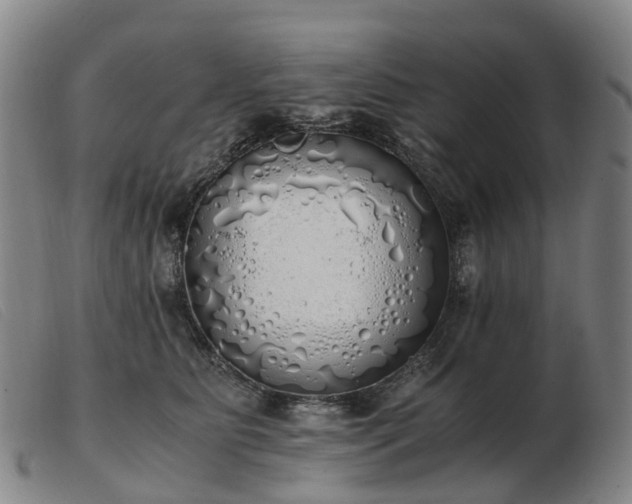 X0000103430515200809191704