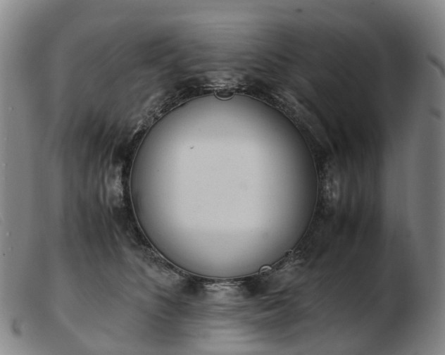 X0000103430516200809191704