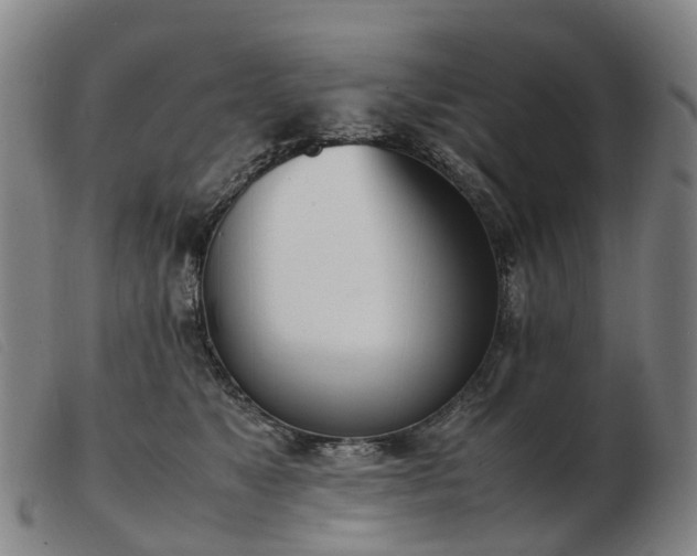 X0000103430517200809191704