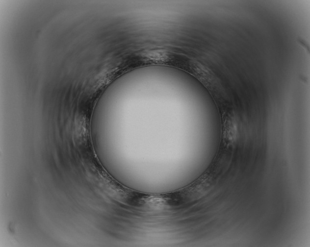 X0000103430518200809191704