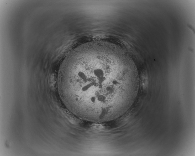 X0000103430519200809191704