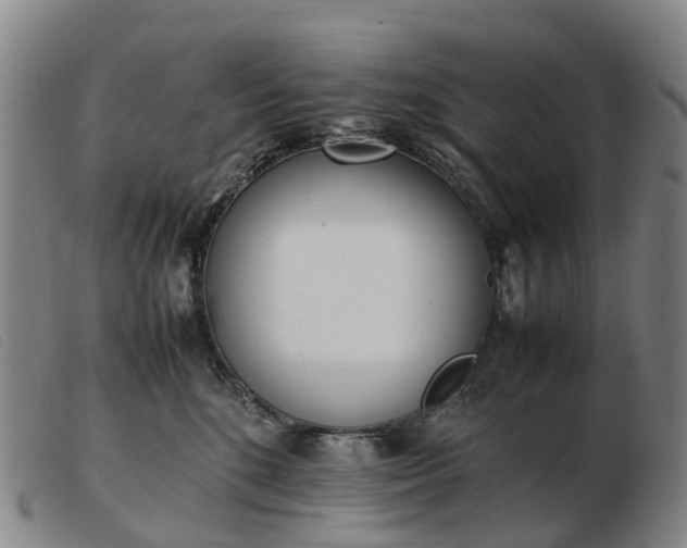 X0000103430520200809191704