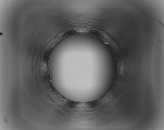 X0000103430521200809191704