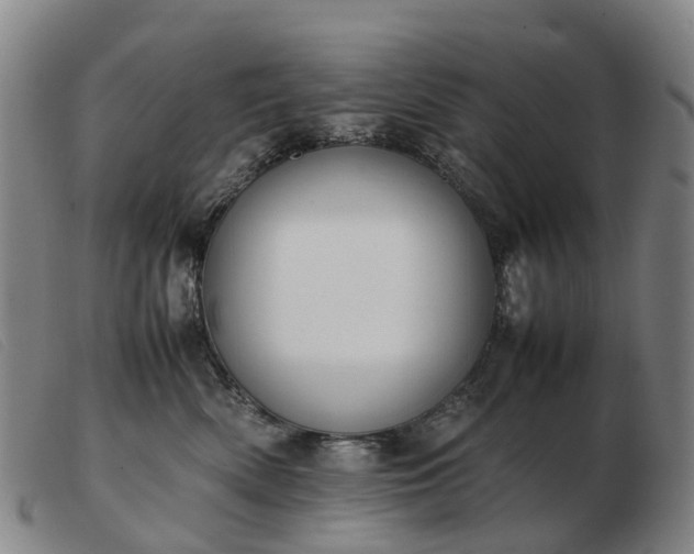 X0000103430522200809191704