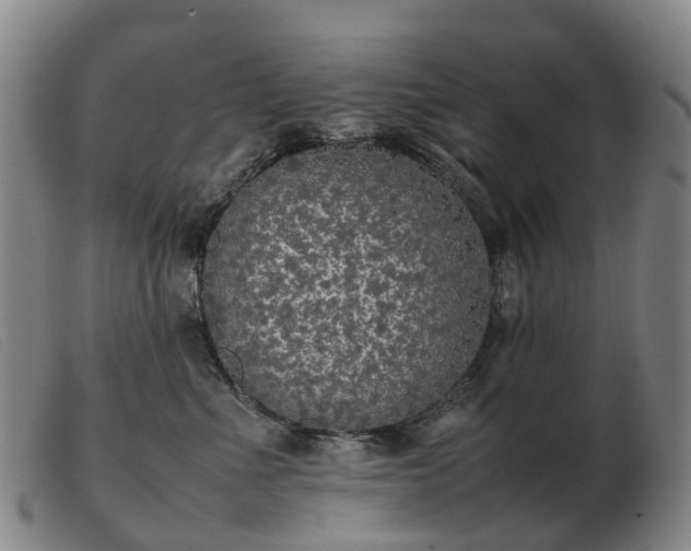X0000103430523200809191704