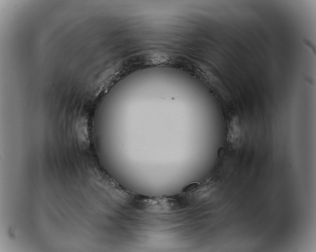 X0000103430524200809191704