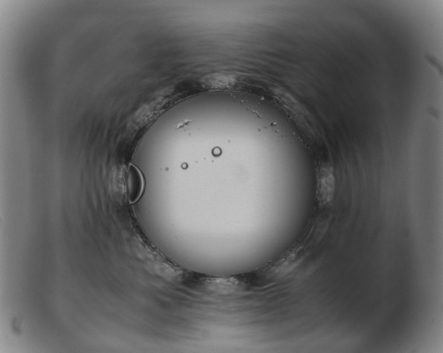 X0000103430525200809191704