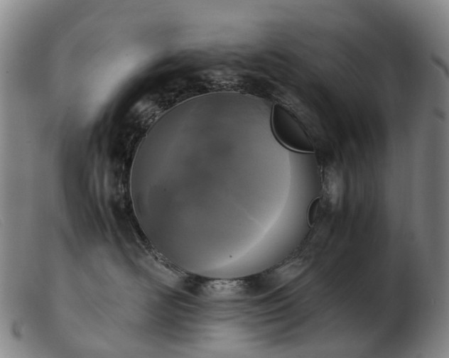 X0000103430526200809191704