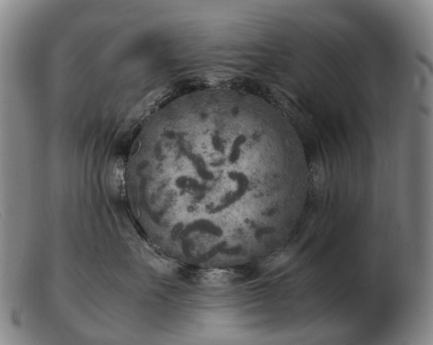 X0000103430527200809191704