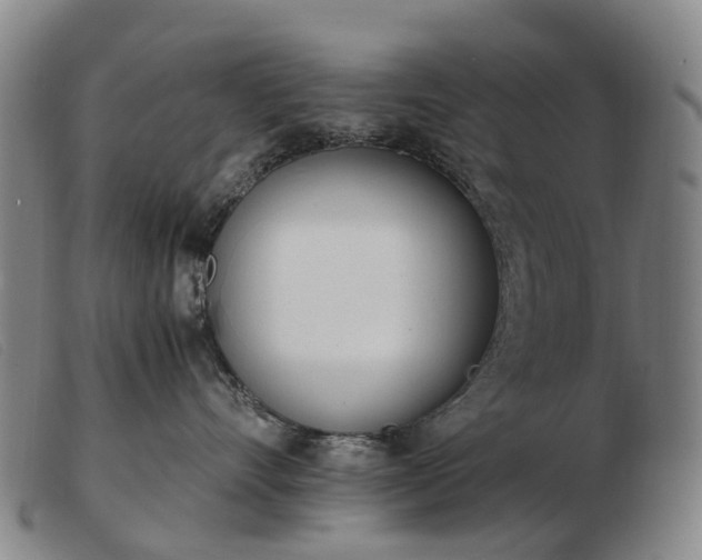 X0000103430528200809191704