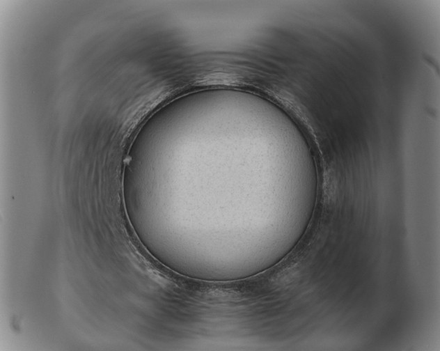 X0000103430529200809191703