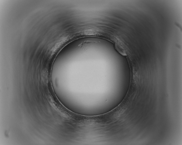 X0000103430530200809191703