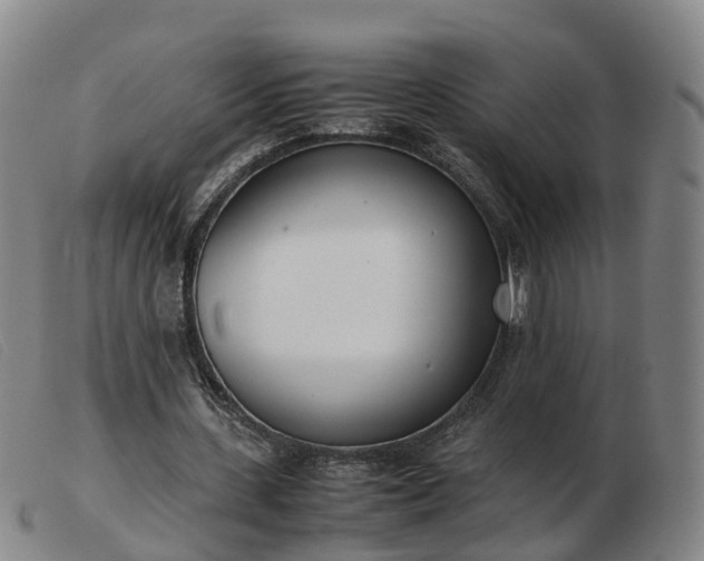 X0000103430531200809191703