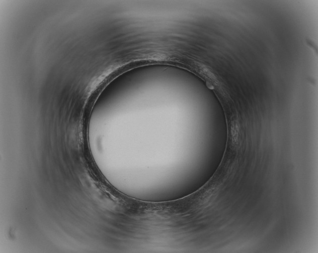 X0000103430532200809191703
