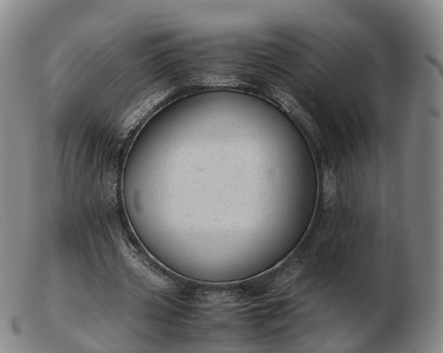 X0000103430533200809191703