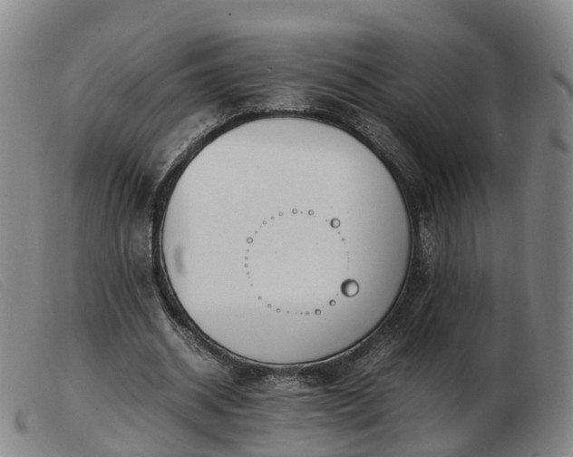 X0000103430534200809191703