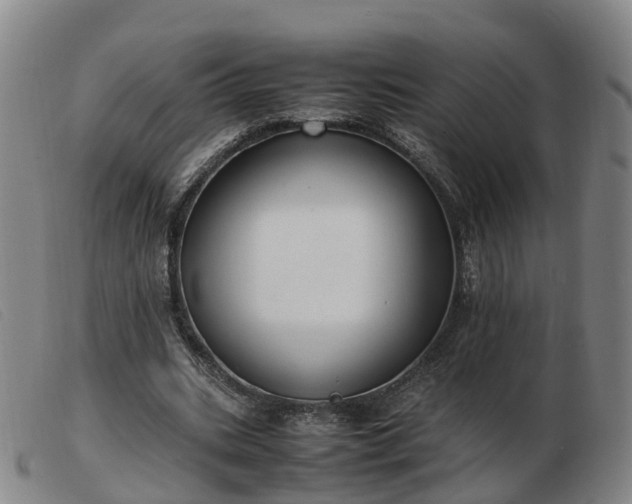X0000103430535200809191703