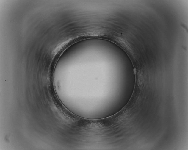 X0000103430536200809191703