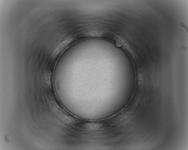 X0000103430537200809191703