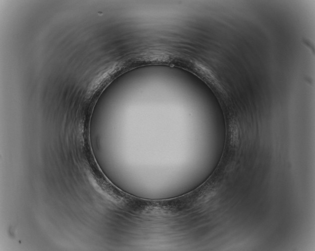 X0000103430538200809191703