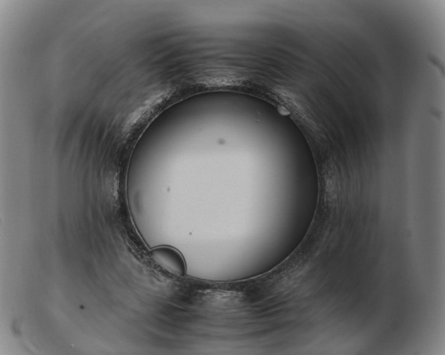 X0000103430539200809191703