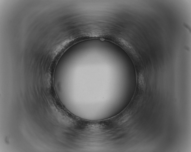 X0000103430540200809191703
