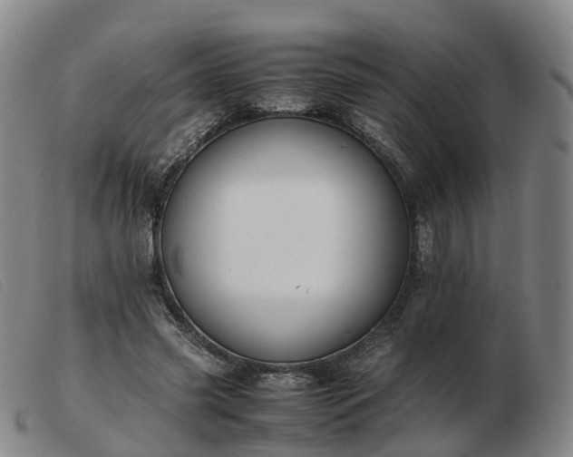 X0000103430541200809191703