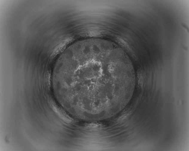 X0000103430542200809191703