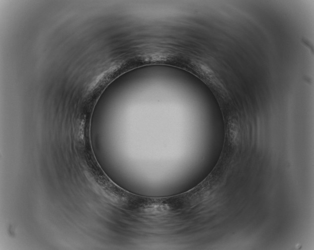 X0000103430543200809191703