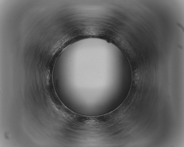 X0000103430544200809191703