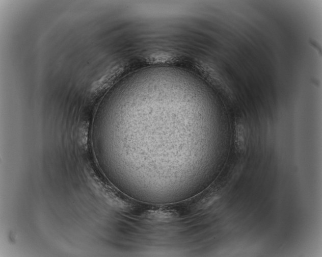 X0000103430545200809191703