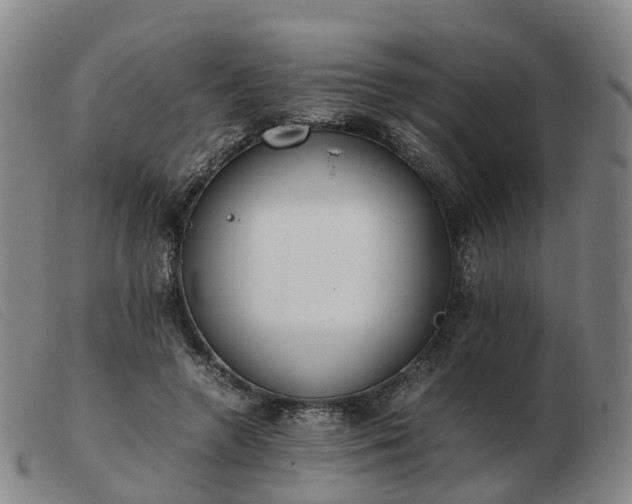 X0000103430546200809191703