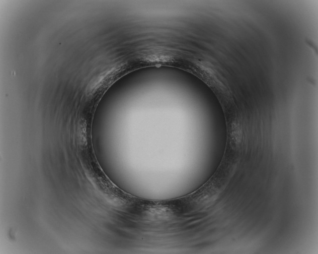 X0000103430547200809191703