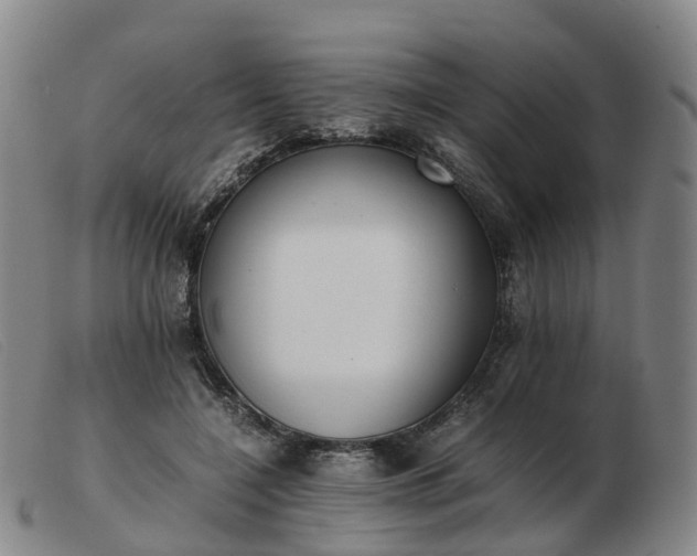 X0000103430548200809191703