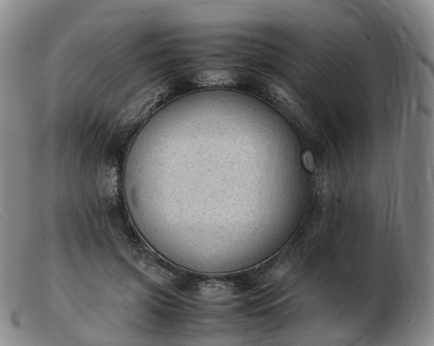X0000103430549200809191703