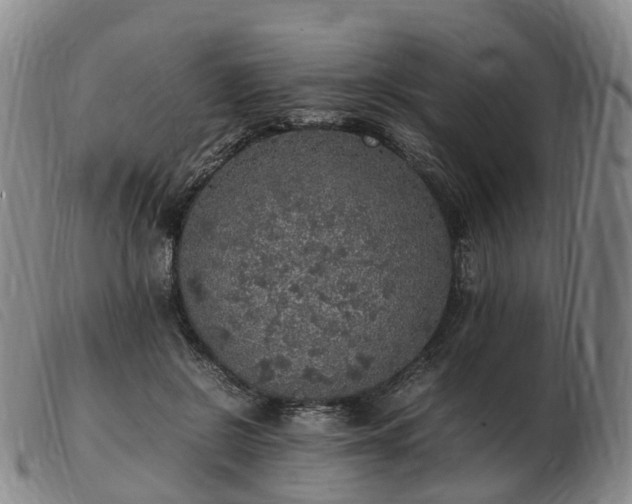 X0000103430550200809191703