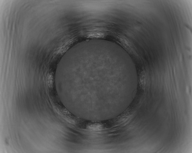 X0000103430551200809191703