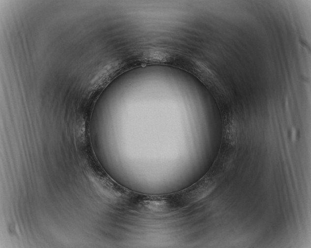 X0000103430552200809191703